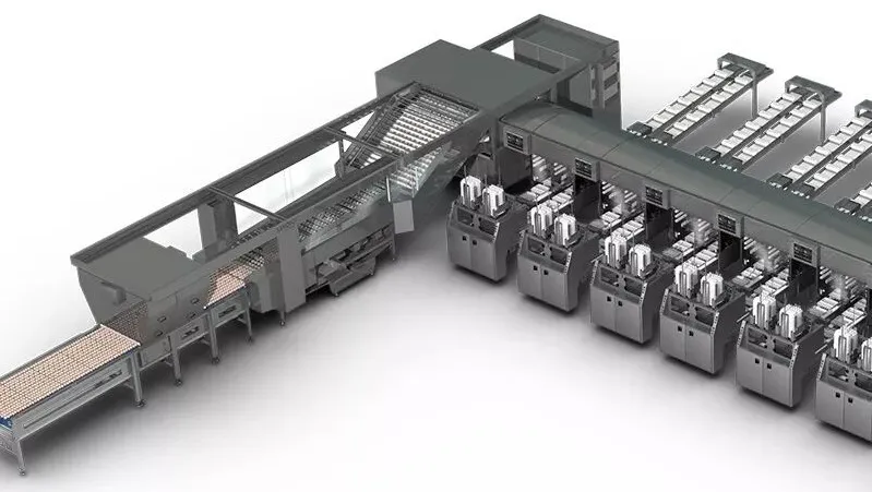 凯发·k8(中国区)官方网站