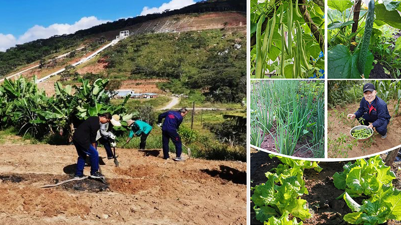 凯发·k8(中国区)官方网站